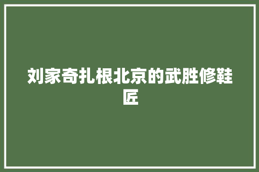 刘家奇扎根北京的武胜修鞋匠