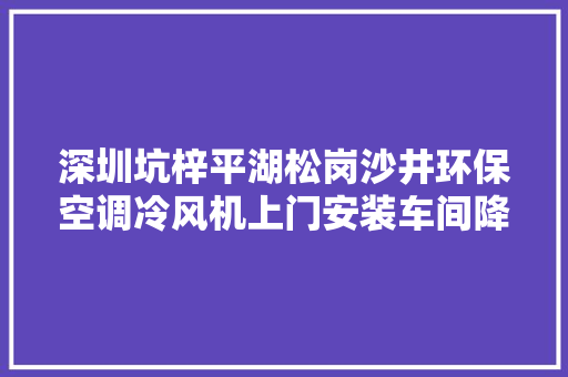 深圳坑梓平湖松岗沙井环保空调冷风机上门安装车间降温通风设备