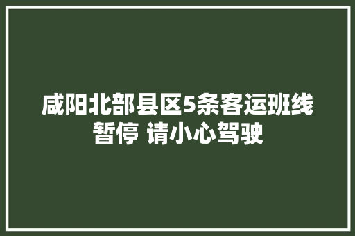 咸阳北部县区5条客运班线暂停 请小心驾驶
