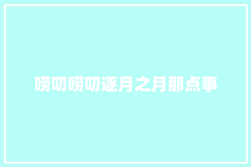 唠叨唠叨逐月之月那点事