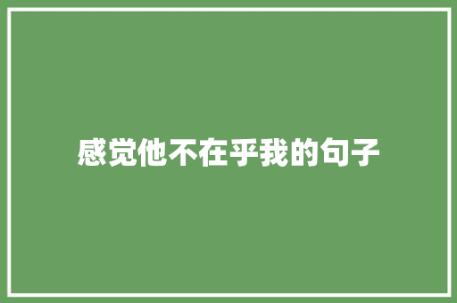 感觉他不在乎我的句子