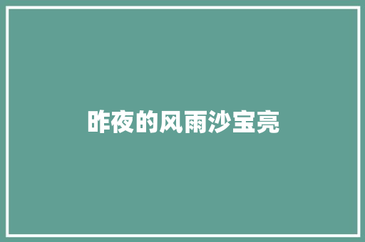昨夜的风雨沙宝亮