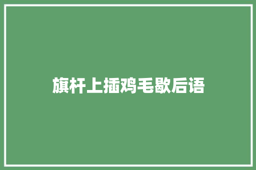 旗杆上插鸡毛歇后语