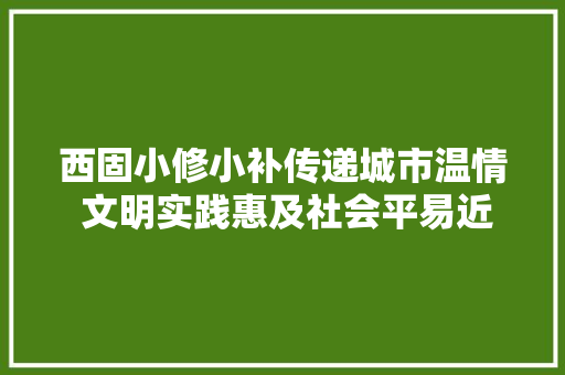 西固小修小补传递城市温情 文明实践惠及社会平易近生