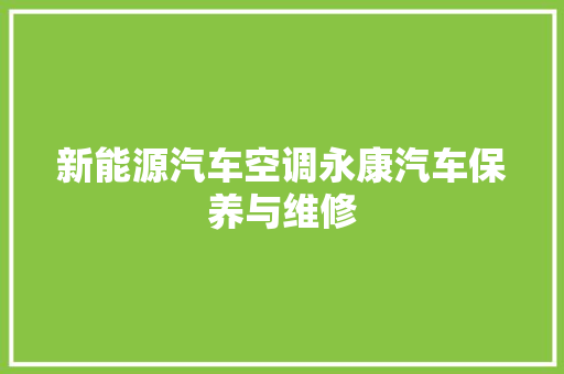 新能源汽车空调永康汽车保养与维修