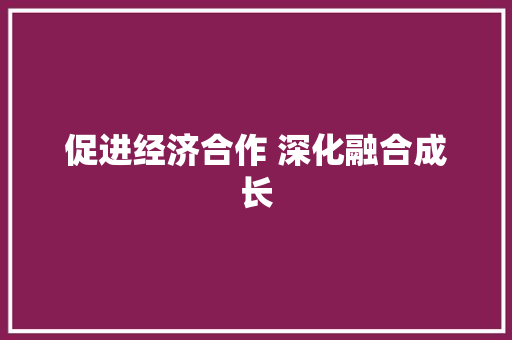 促进经济合作 深化融合成长