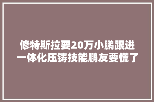 修特斯拉要20万小鹏跟进一体化压铸技能鹏友要慌了