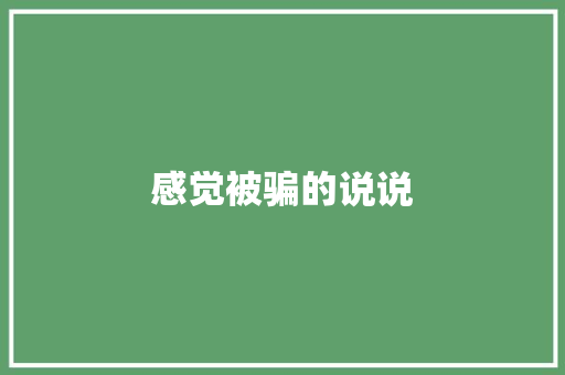 感觉被骗的说说