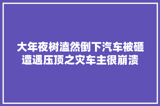 大年夜树溘然倒下汽车被砸遭遇压顶之灾车主很崩溃