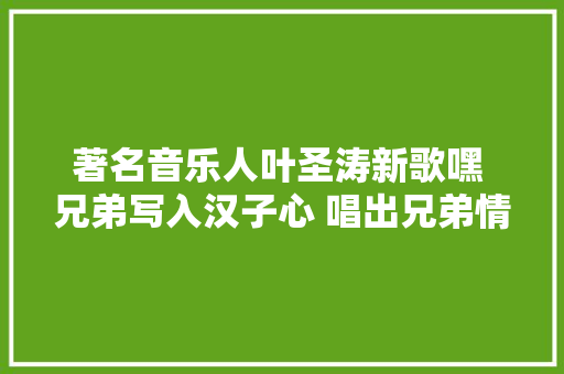著名音乐人叶圣涛新歌嘿 兄弟写入汉子心 唱出兄弟情