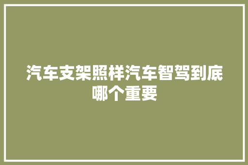 汽车支架照样汽车智驾到底哪个重要