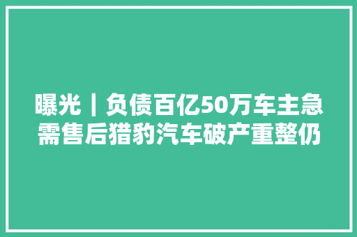 曝光｜负债百亿50万车主急需售后猎豹汽车破产重整仍在连续