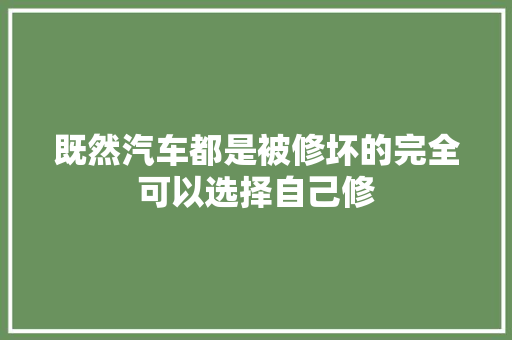 既然汽车都是被修坏的完全可以选择自己修