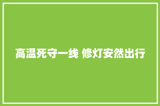 高温死守一线 修灯安然出行