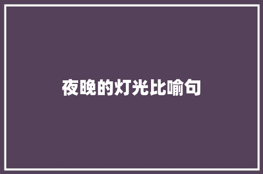 夜晚的灯光比喻句