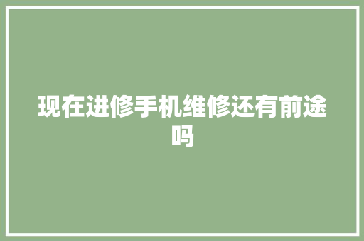 现在进修手机维修还有前途吗