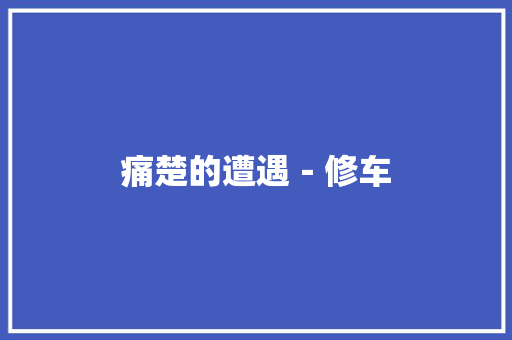 痛楚的遭遇－修车