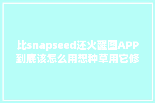 比snapseed还火醒图APP到底该怎么用想种草用它修图就对了