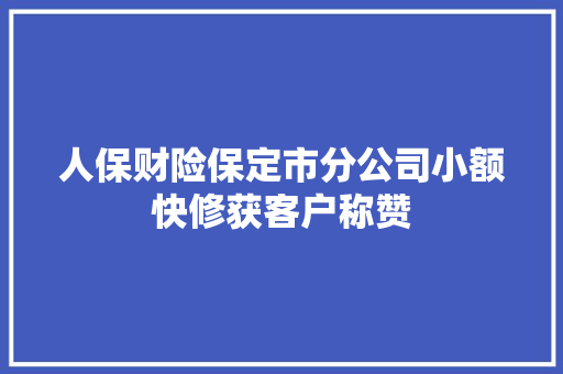 人保财险保定市分公司小额快修获客户称赞