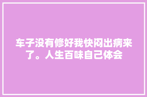 车子没有修好我快闷出病来了。人生百味自己体会