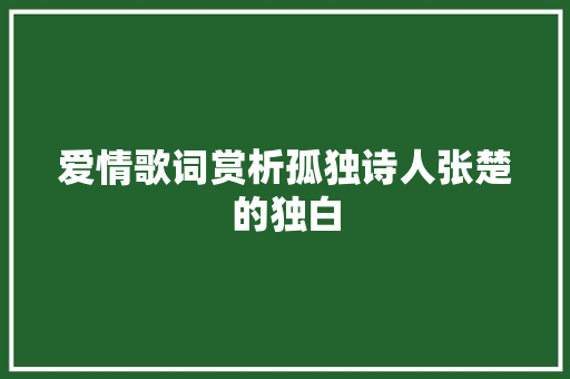 爱情歌词赏析孤独诗人张楚的独白