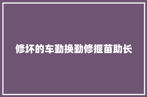 修坏的车勤换勤修揠苗助长