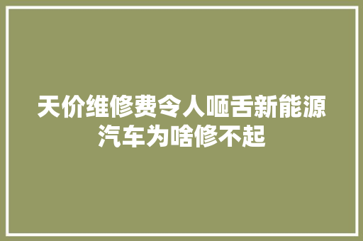 天价维修费令人咂舌新能源汽车为啥修不起