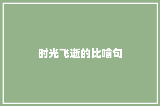 时光飞逝的比喻句 知识百科