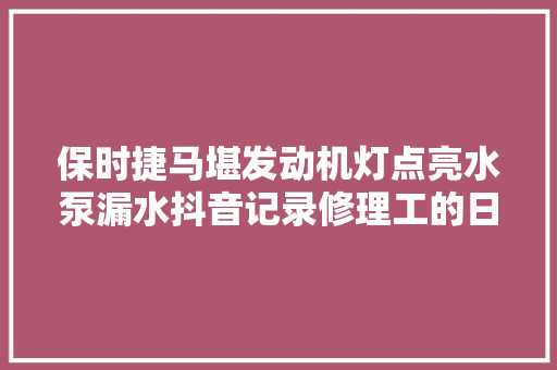 保时捷马堪发动机灯点亮水泵漏水抖音记录修理工的日常
