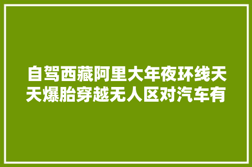 自驾西藏阿里大年夜环线天天爆胎穿越无人区对汽车有什么要求
