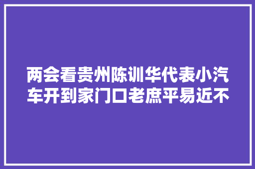 两会看贵州陈训华代表小汽车开到家门口老庶平易近不再出行难