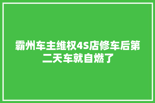 霸州车主维权4S店修车后第二天车就自燃了