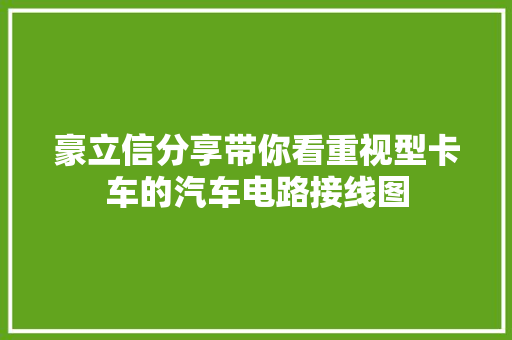 豪立信分享带你看重视型卡车的汽车电路接线图