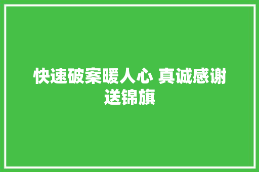快速破案暖人心 真诚感谢送锦旗
