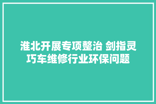 淮北开展专项整治 剑指灵巧车维修行业环保问题