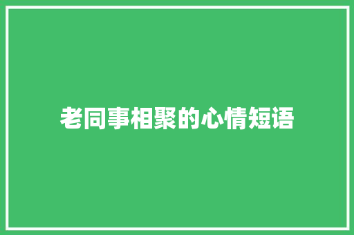 老同事相聚的心情短语