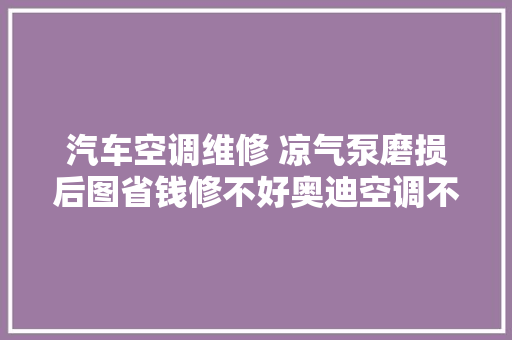 汽车空调维修 凉气泵磨损后图省钱修不好奥迪空调不制冷