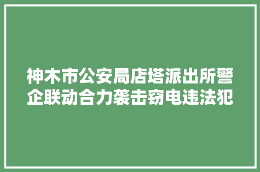 神木市公安局店塔派出所警企联动合力袭击窃电违法犯罪活动