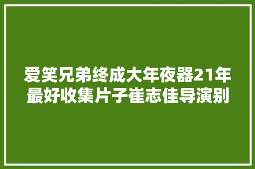 爱笑兄弟终成大年夜器21年最好收集片子崔志佳导演别叫我情圣