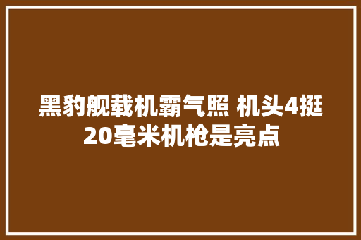 黑豹舰载机霸气照 机头4挺20毫米机枪是亮点
