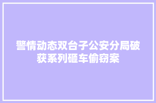 警情动态双台子公安分局破获系列砸车偷窃案 汽车知识