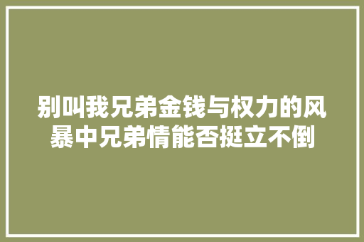 别叫我兄弟金钱与权力的风暴中兄弟情能否挺立不倒