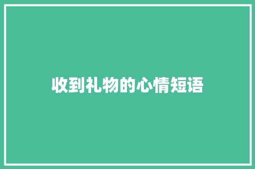 收到礼物的心情短语