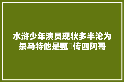 水浒少年演员现状多半沦为杀马特他是甄嬛传四阿哥