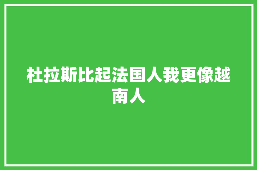 杜拉斯比起法国人我更像越南人
