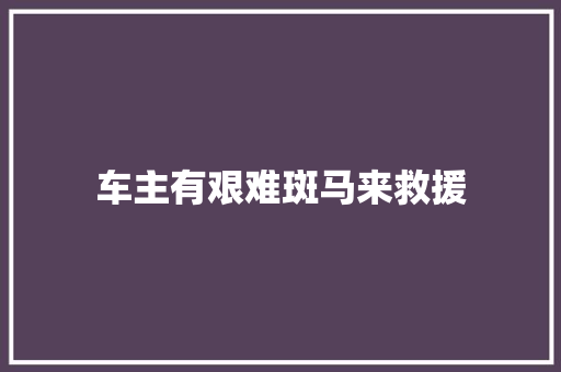 车主有艰难斑马来救援