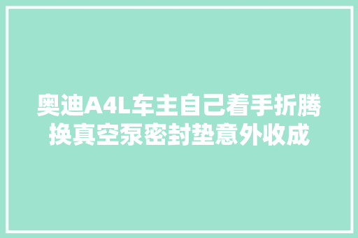 奥迪A4L车主自己着手折腾换真空泵密封垫意外收成