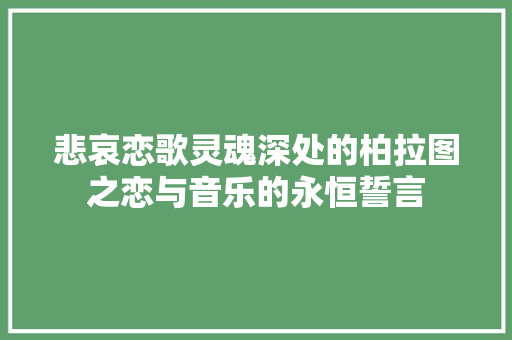 悲哀恋歌灵魂深处的柏拉图之恋与音乐的永恒誓言