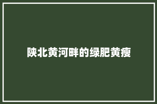 陕北黄河畔的绿肥黄瘦
