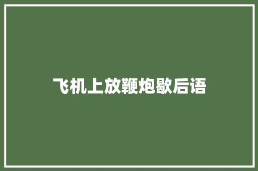 飞机上放鞭炮歇后语